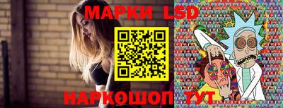 МДПВ Камышлов