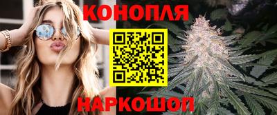 МДПВ Камышлов