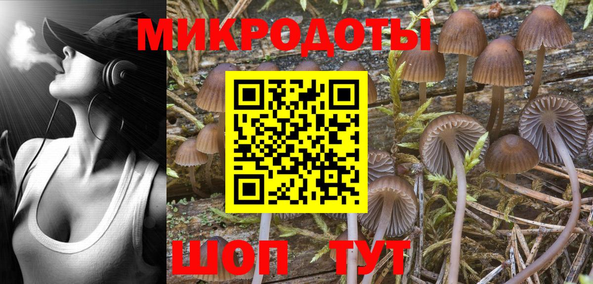 Краснокаменск  Галлюциногенные грибы Cubensis  Вход с VPN 