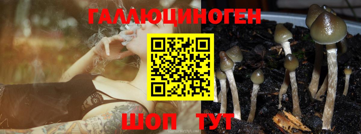 ЭКСТАЗИ Краснокаменск